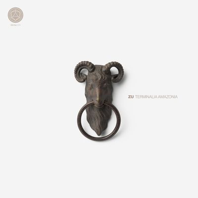 Terminalia Amazonia (Vinyl / 12" Album (Limited Edition))