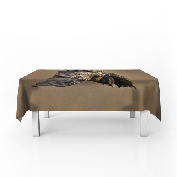 Juvenile Bearded Vulture By Fanie Heymans Rectangle Tablecloth