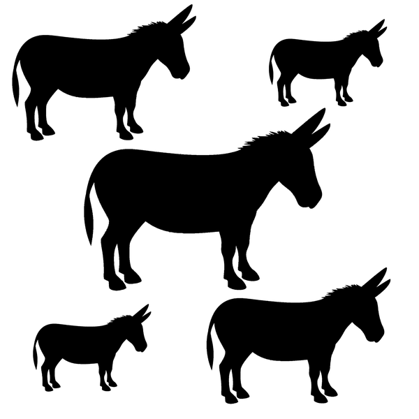 TrendSpire Donkey Vinyl Stickers - Set of 5