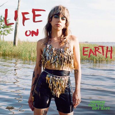 Life On Earth (Vinyl / 12" Album)