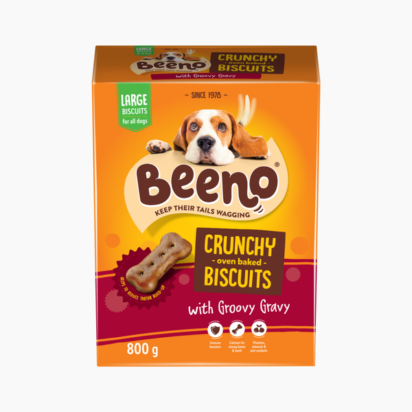 Beeno Large Biscuits with Gravy 800g - Dog Biscuit Treats
