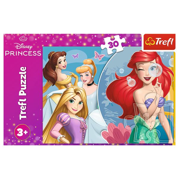 Puzzles - "30" - Beautiful Princess Day / Disney Princess
