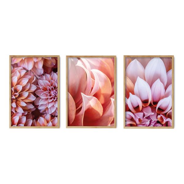 Cape Art Wall Art CURATED 3 Piece FLORAL DELIGHT