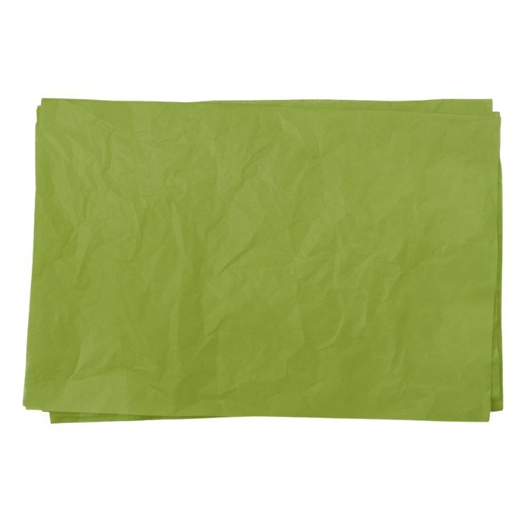 Wrapping Tissue Paper 24 Sheets Aloe Green Shop Today. Get it