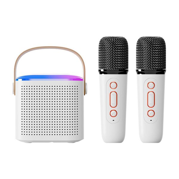 Portable Bluetooth Speaker,Wireless Karaoke Machine With 2 Mics - White
