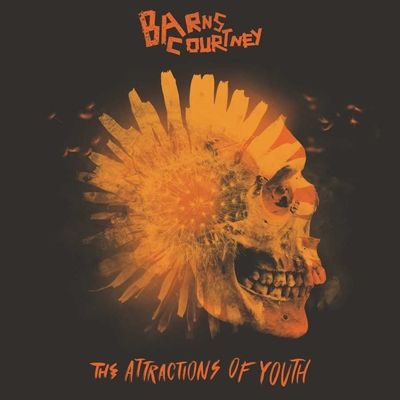 The Attractions of Youth (Vinyl / 12" Album)