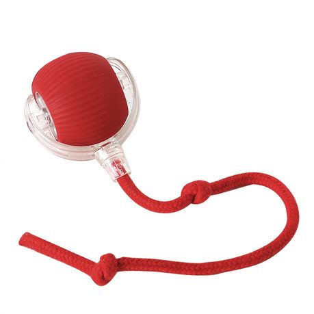 Rechargeable Interactive Pet Ball Active Rolling Ball for Dogs&Cats Image