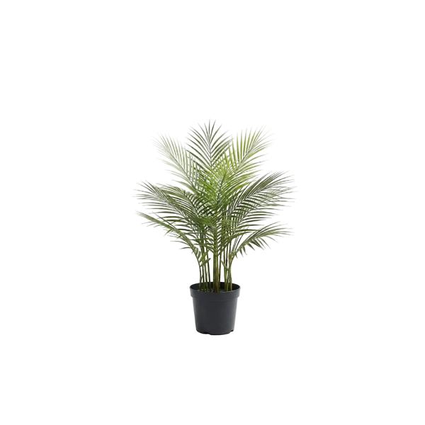 Artificial Faux Palm Tree (75CM)