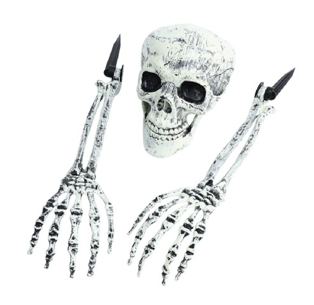 Realistic Skeleton Head and Arms Halloween Decorations