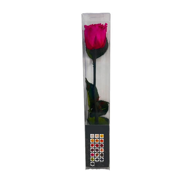 Tshiora Preserved Flowers logo