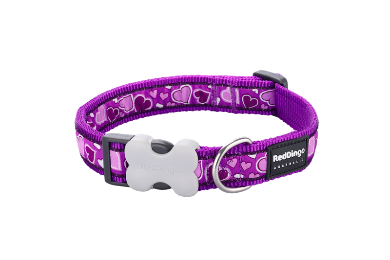 Red Dingo Design Collar - Breezy Love Purple - Purple XS