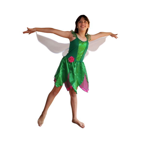 Tinkerbell Fairy Dress and Wings