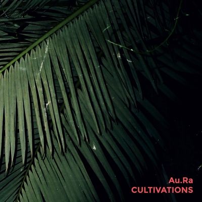 Vinyl / 12" Album image