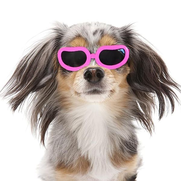 Dog Sunglasses Adjustable Pet Goggles UV Proof for Small Breed Dog