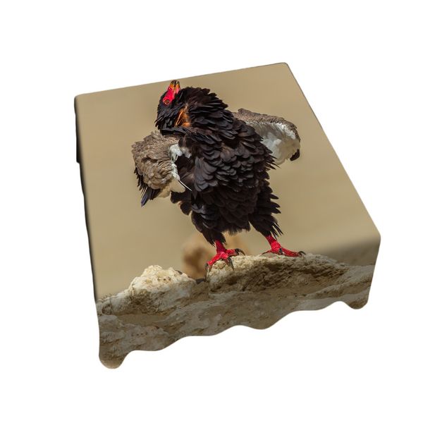 Bateleur Pronk Right Square Tablecloth by Fanie Heymans