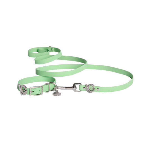 Valgray Splash Proof Dog Collar &amp; Leash Set, Pistachio &amp; Silver, Small