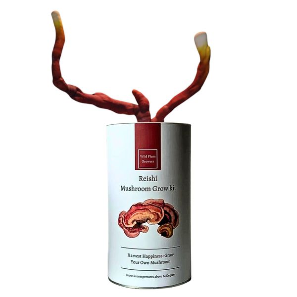 Wild Plum Growers Reishi Mushroom Grow kit