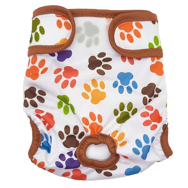 Paw image