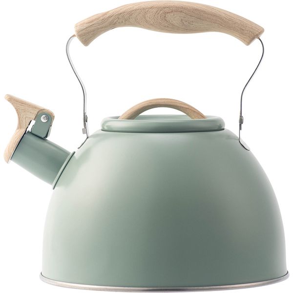 3L Stainless Steel Whistling Tea Kettle for Gas and Induction Stove, Green