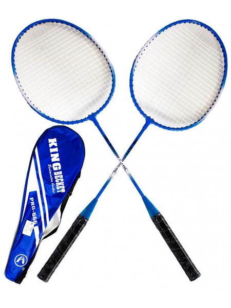 Badminton Set and Shuttlecocks