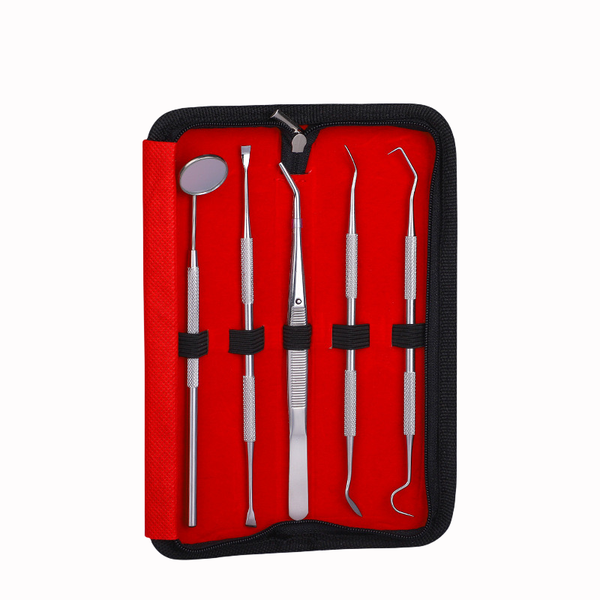 5 Pieces Tooth Cleaning Kit, Stainless Steel Dental Tool