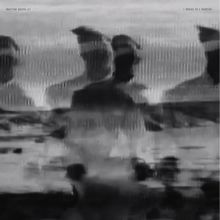 2 Weeks to 4 Months (Vinyl / 12" Album)