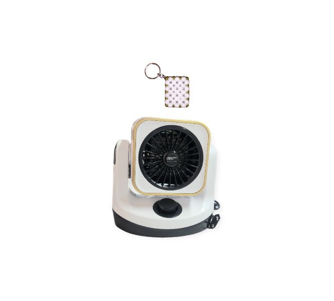 Cooling &amp; Heating Fan 1000W with Key Holder