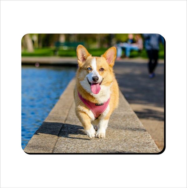 Mouse Pad - Blue Corgi