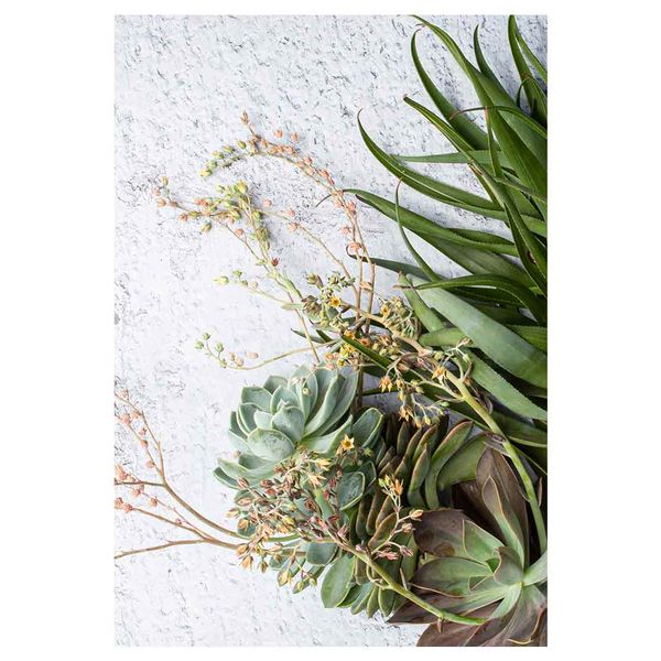 Cape Art - Vinyl Felt Placemat - Aloe Bush with Yellow Blossoms (Pack of 6)