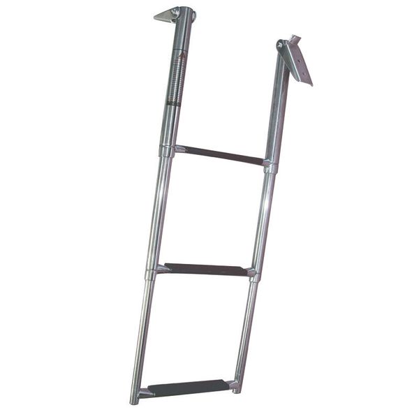 Telescopic Ladder