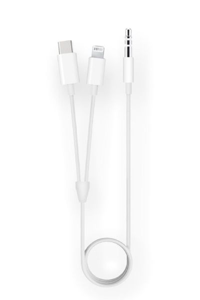 Type-c &amp; Lightning To 3.5mm Aux Audio Cable