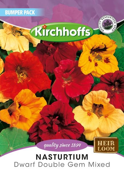Kirchhoffs Nasturtium Dwarf Double Gem Mix Large Bumper Pack