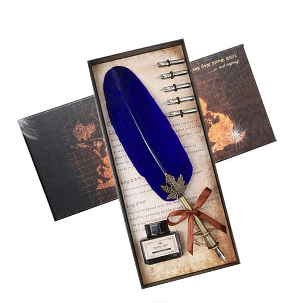 Classic writing gift box feather fountain pen with ink set and 5 nibs