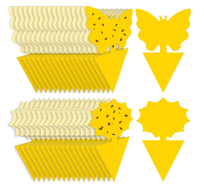 Fruit Fly Traps Fungus Gnat Traps Yellow Sticky Bug Traps 24 Pack