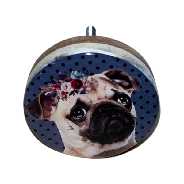 Cabinet Doorknobs Blue Pug