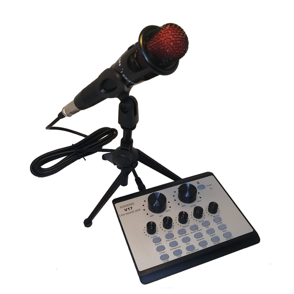 V17 Live Sound Card Interface With Microphone For Live Broadcast Stream