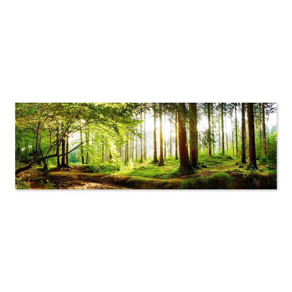 Canvas Wall Art - Forest - 119cm x 84cm