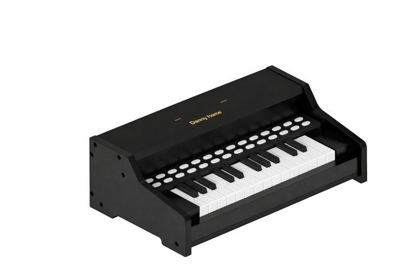 Danny Home Fun Keys Electronic Wooden Piano