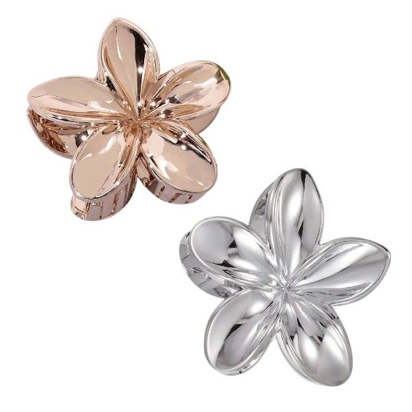 2 Pack of Flower Hair Clips - Silver/Bronze