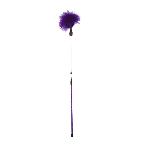 zaTeazer - Cat Teaser With Bell (Purple)