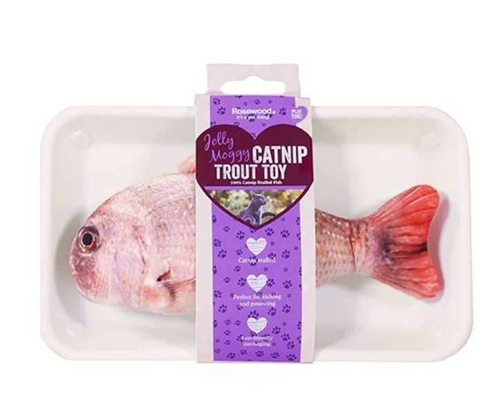 Rosewood Catnip Trout Toy
