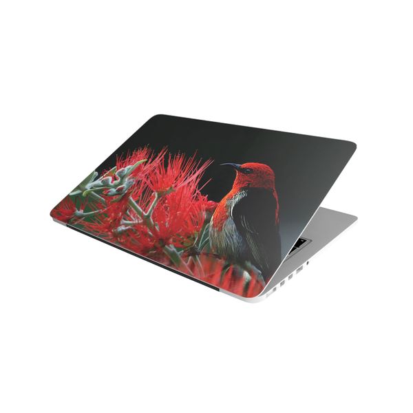 Laptop Skin/Sticker - Red Bird