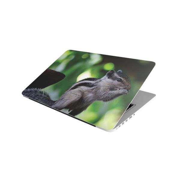 Laptop Skin/Sticker - Squirrel