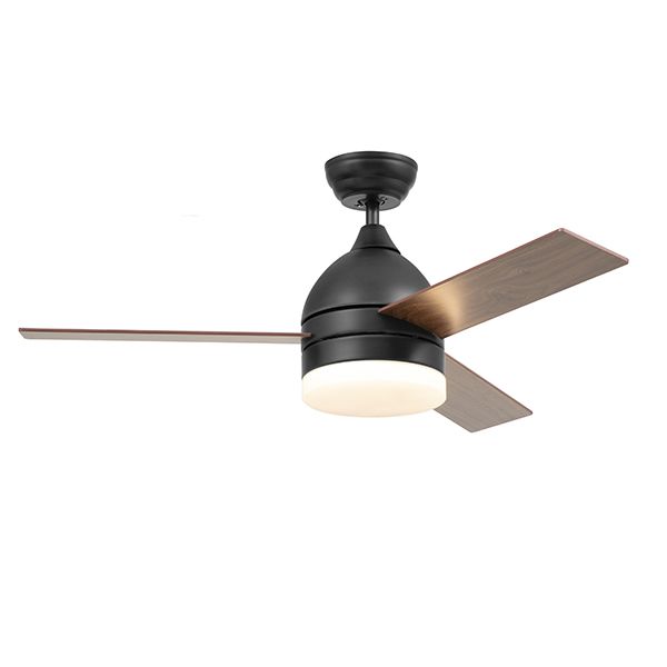 The Lighting Warehouse - Ceiling Fan Phoenix 42inch Black