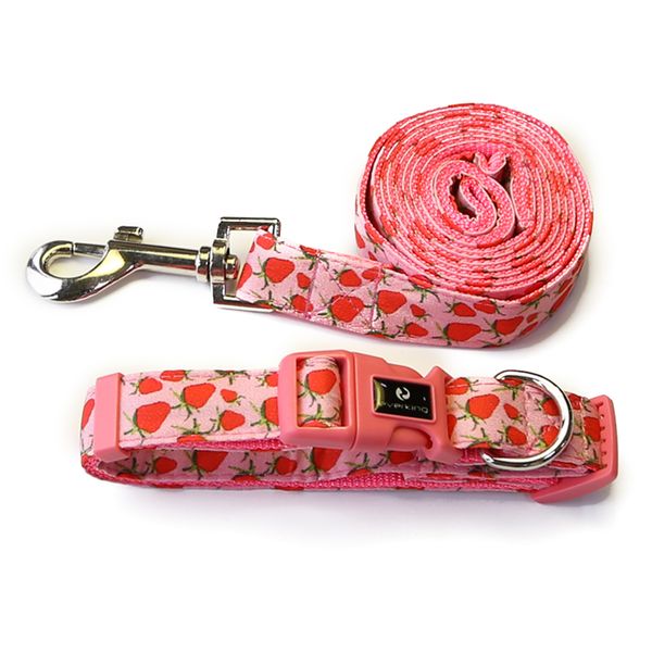 Cute Strawberry Adjustable Dog Collar and Leash Set