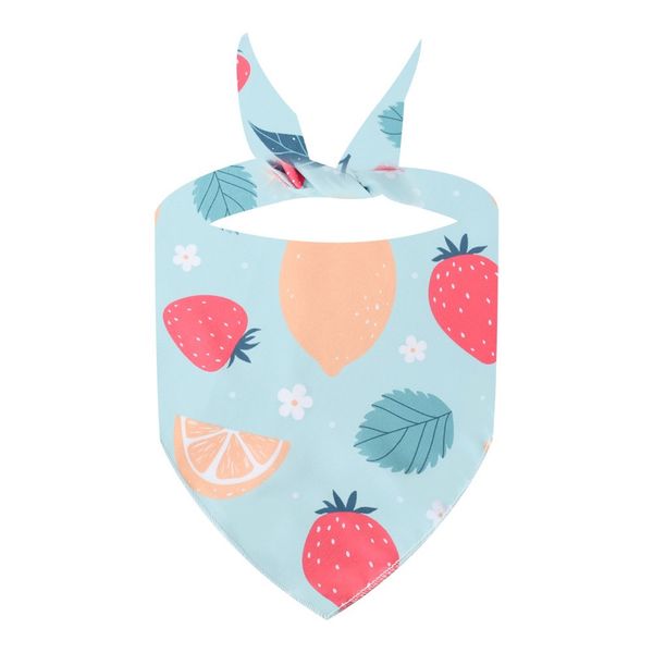 Berry &amp; Citrus Delight Pet Bandana - Cute Dog Cat Scarf - Summer Fresh Look