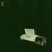 Raw and Disfigured (Vinyl / 12" Album)
