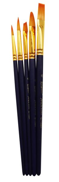 5pcs Multi shapes Artist Paint Brush Set Watercolour Acrylic Nylon Hair