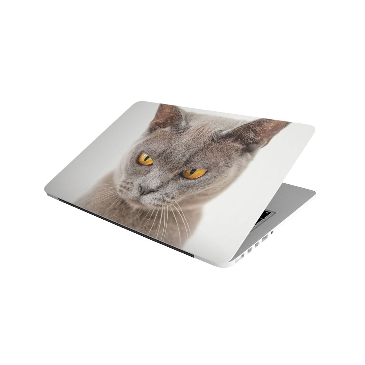 Laptop Skin/Sticker Angry Cat Shop Today. Get it Tomorrow