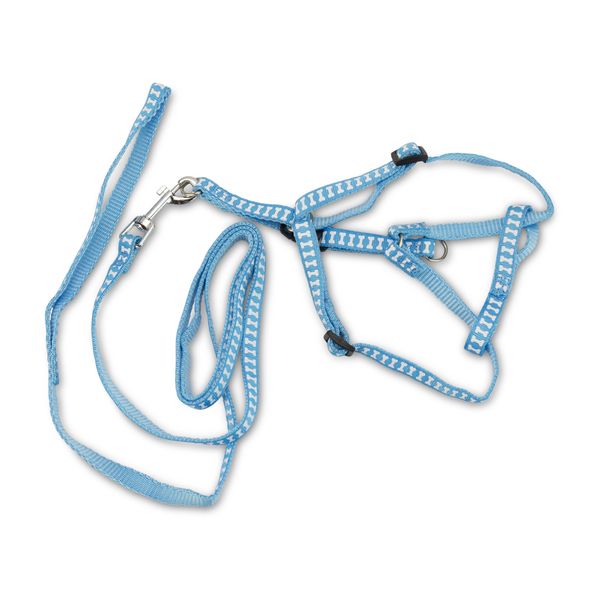Leash &amp; Harness Set - Adjustable - Bone Design - Sky Blue - Small